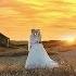 Vitaliy And Yana Wedding Trailer Cornerstone Gospel Church