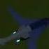 Bloomix TU 160B Blackjack The Atmospheric Plane Draw Bricks