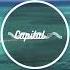 Chicane Saltwater Chiro Radio Remix
