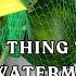 Hidden Giant My First Watermelon Needs A Hammock Tower Garden Surprise Garden Towergarden