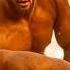 Sikandar Shaikh Kushti Maharashtra Kesari 2025 Shorts Kusht Wrestling Kushti Dangal