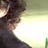 Hakan Keles Tansel Aydın Dede Crazy Monkey Remix