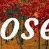 SAINt JHN Roses Imanbek Remix Lyrics