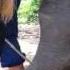 Gimme Gimme Good Lovin Crazy Elephant