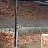 Deol Dairy Farm New Shed In Progress