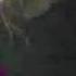Casacca Un Paese Di Fantasmi 1987