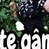 Omul Câte Gânduri Are Mariana Si Ionel Band