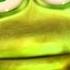 Froggy Froggy Kids Songs Nursery Rhymes