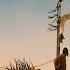 Çılgın Max Öfkeli Yollar Türkçe Dublaj Izle 1 3 MAD MAX FURY ROAD