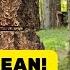 Don T Miss This One Heavy Lean Wrong Way
