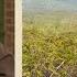 Ask For His Presence Psalm 24 Daily Devotions Pastor Jim Cymbala