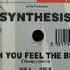Synthesis Can You Feel The Beat Extended Mix