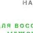 Настрой для восстановления волос для мужчин