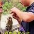Monkey Brother Cooperated Well Monkey Became A Spirit Please Do Not Imitate Dangerous Actions