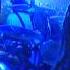 Ozric Tentacles The Domes Of G Bal Live