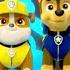 PAW Patrol Dutch Official Theme Song Music Nick Jr