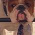 Full Episode CoCo S Comedy Benefit For Bulldogs Ice Loves CoCo S3 E04 E Rewind