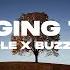 BACOLE Buzz Low Hanging Tree