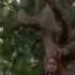 Lost 4X07 Ji Yeon Sun Know Jin Soo Know