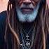 Rebel Bass Bold Reggae Dub That Rocks