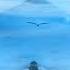 Losing My Religion Koni Devan Tom Bailey Lyrical