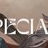 Cover SPECIALZ ChroNoiR