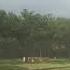Sunshower Or Sun Shower Sunshine Rain In Sunshine State