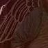 Lucifer Angels Could Be Bad Supernatural