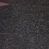 Miley Cyrus S Walk Of Fame Infection