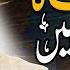 Mere AQA Ka ﷺ Koi Jawab Nahi 2023 Tabish Reahn New Video 2023 2024