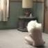 Sia Chandelier One Take Version HQ