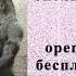 Первоисточники йоги Шива Самхита Глава 5 Садхана Манипура аф 5 79 5 82 Часть 13 3 1