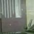 Don Omar Pobre Diabla Mejorado Official Video