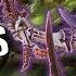 EVERYTHING You Need To Know About Tyranids In 10th Ed Warhammer 40k Tactics