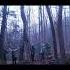 MycoSymbiotics Presents The Foragers Teaser