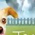 Toms Dog