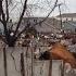 Business Of Disaster Full Documentary FRONTLINE