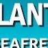 Seafret Atlantis Lyric Video