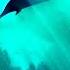 Amadea Music Productions Ocean 2021 Full Album Interactive