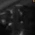 Bon Jovi Beautiful Drug Lyric Video