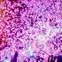 Morandi Angels RobikaMusic Club Mix 2022