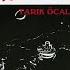 Tarık Öcal Bir Demet Yasemen Official Audio Esen Müzik