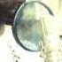 NINJAMAN Dubplate Dainjamentalz Jamaica