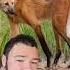 Animals That You Never Knew Existed Interesting