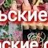 347 Октябрьские старты Авторские схемы Наталья Черепанова Настя Арнаутова 2 я серия