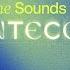 The Sounds Of Pentecost The Sound Of Heaven 11 30AM Service