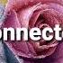 Rose Ringed I Waited For You