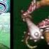 Asdivine Hearts PS3 Gameplay