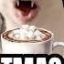 Cat MEMES THE CHRISTMAS ROADTRIP FULL ROADTRIP MOVIE