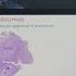 AGBT 2023 Flash Talk Presentation By Oliver Braubach PhD